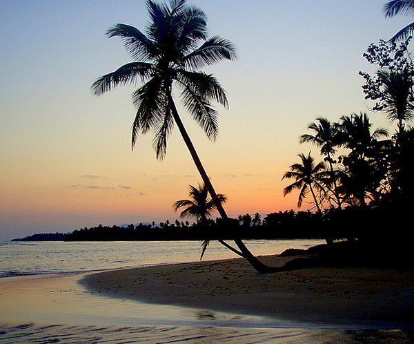 BRAND NEW PENTHOUSE FOR SALE IN DOMINICUS READY TO GENERATE INCOME