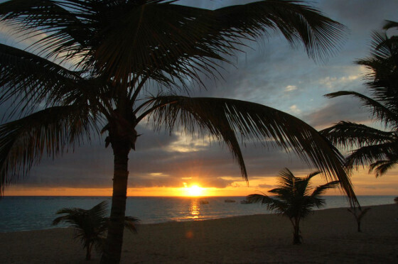 BRAND NEW PENTHOUSE FOR SALE IN DOMINICUS READY TO GENERATE INCOME