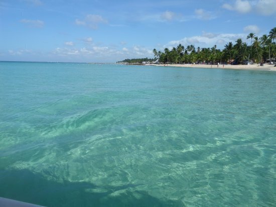 BRAND NEW PENTHOUSE FOR SALE IN DOMINICUS READY TO GENERATE INCOME