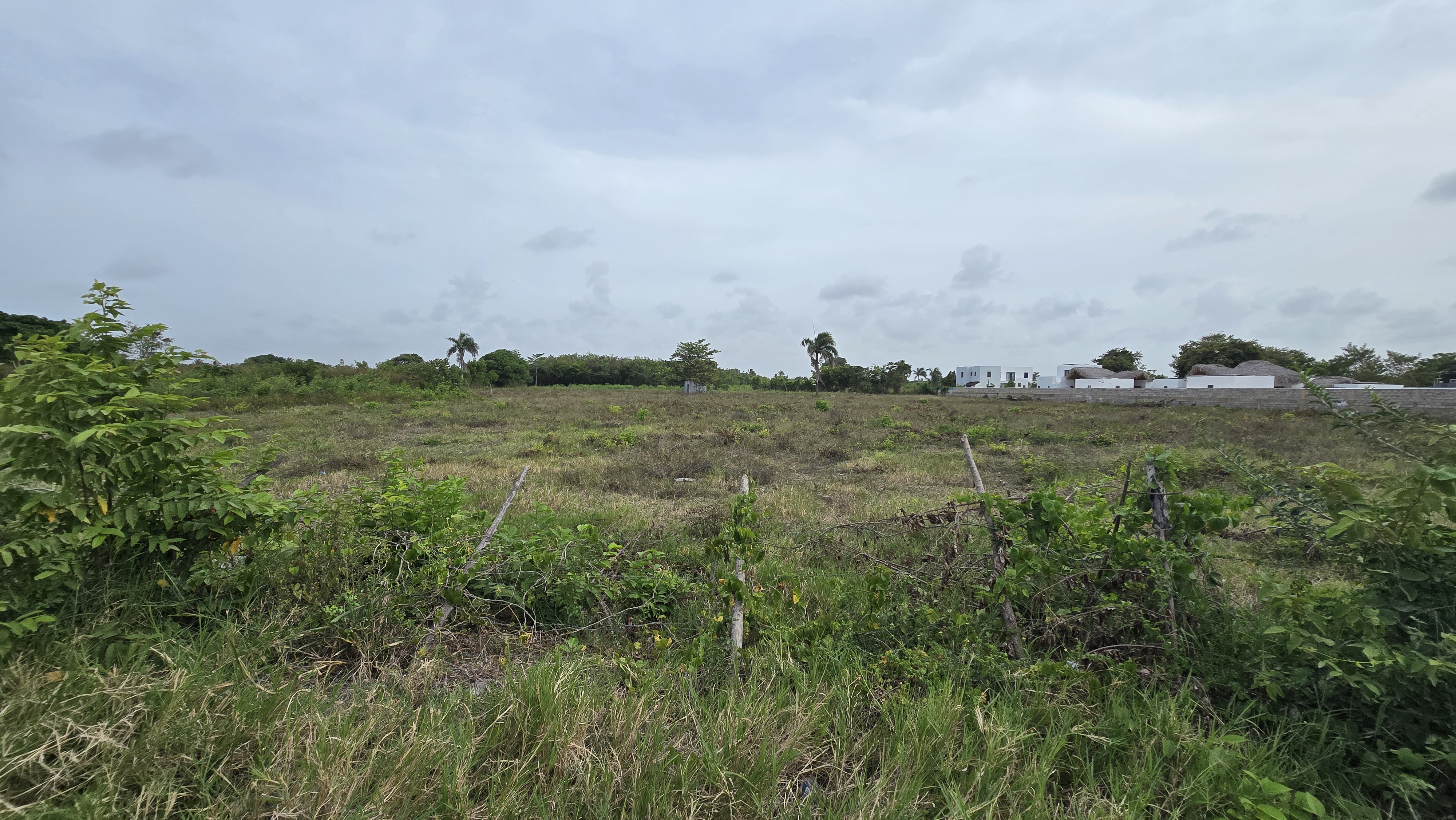 VENTA TERRENO EN PLAYA MACAO $14 USD por m² photo 3