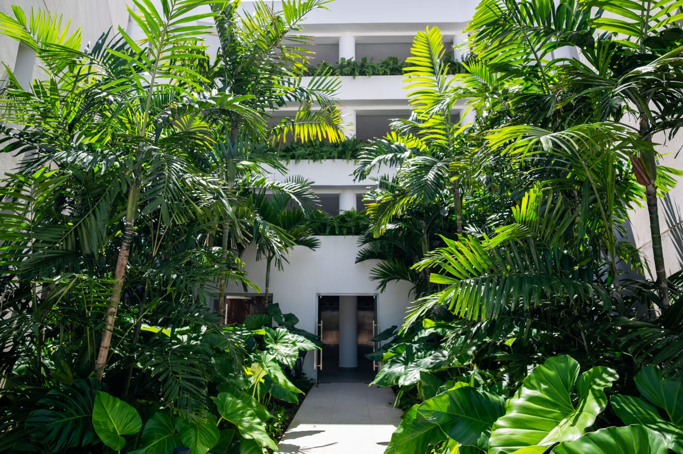 APARTMENT FOR SALE NEAR RIU HOTELS AND GOLF COURSES IN PUNTA CANA photo 4