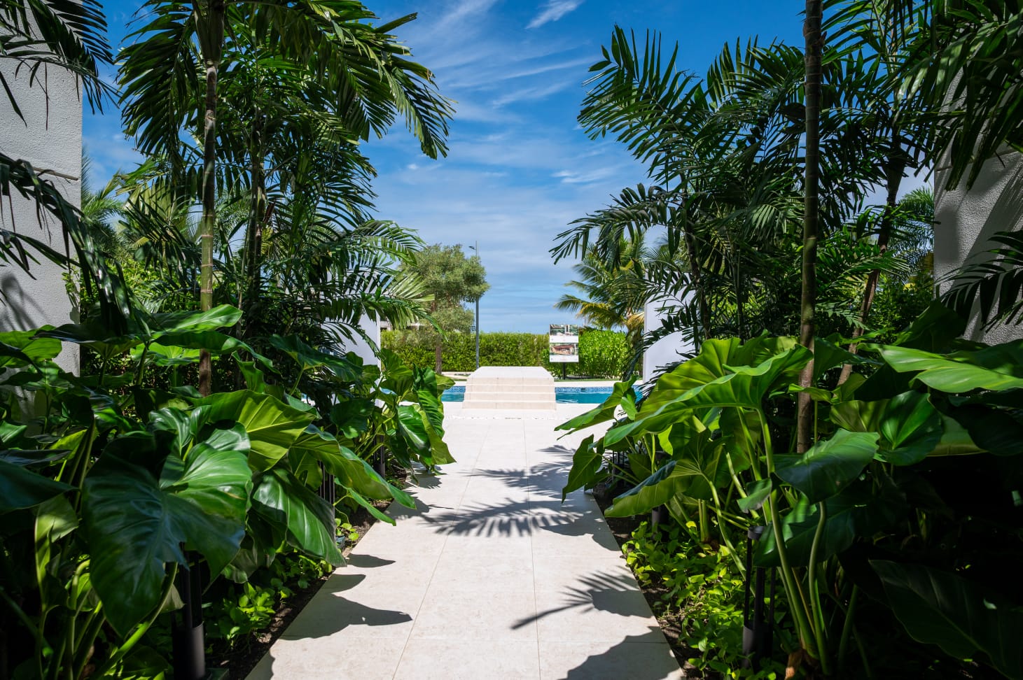 APARTMENT FOR SALE NEAR RIU HOTELS AND GOLF COURSES IN PUNTA CANA photo 3